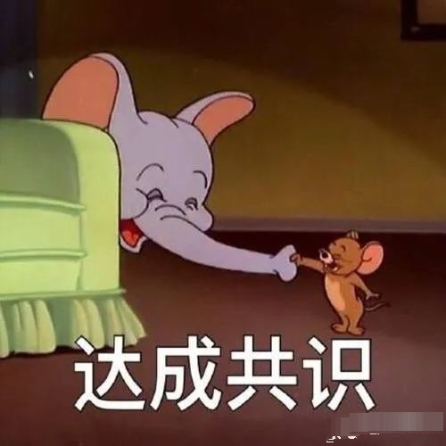 金晨|金晨没成团是和节目组谈崩了？