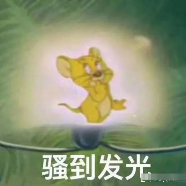 金晨|金晨没成团是和节目组谈崩了？