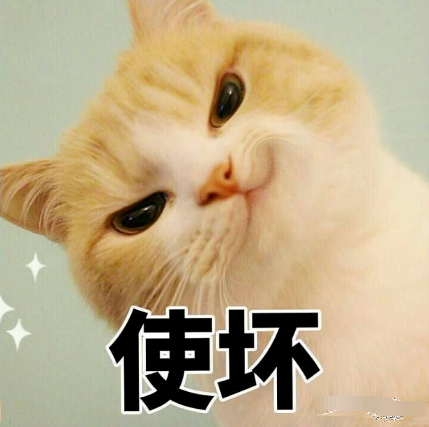 金晨|金晨没成团是和节目组谈崩了？