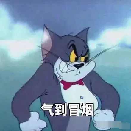 金晨|金晨没成团是和节目组谈崩了？