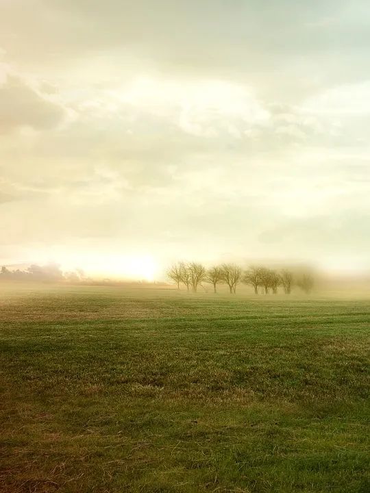 中国文学|中国文学史上的50个“第一”，值得一辈子收藏