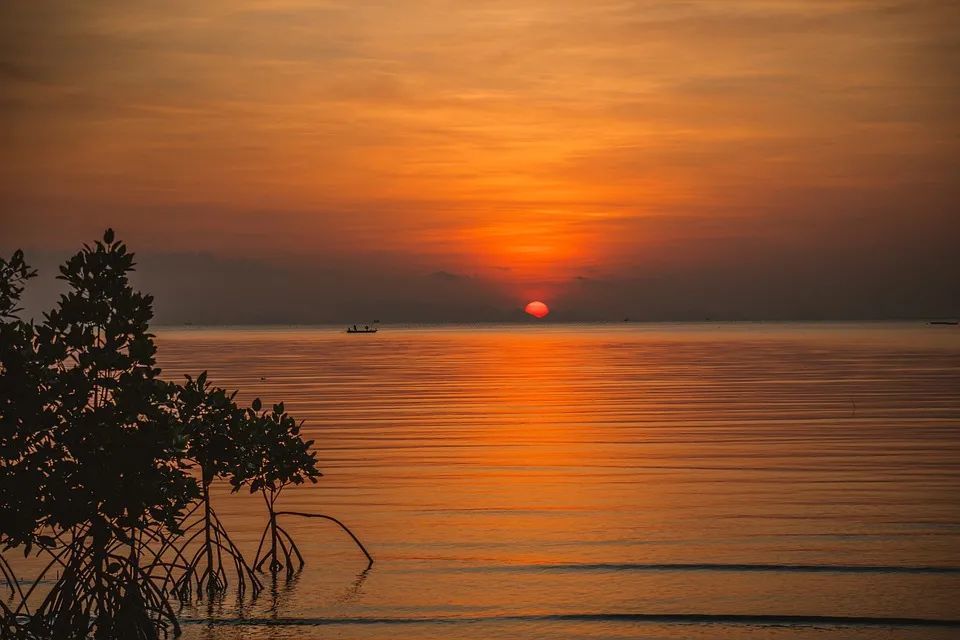 中国文学|中国文学史上的50个“第一”，值得一辈子收藏