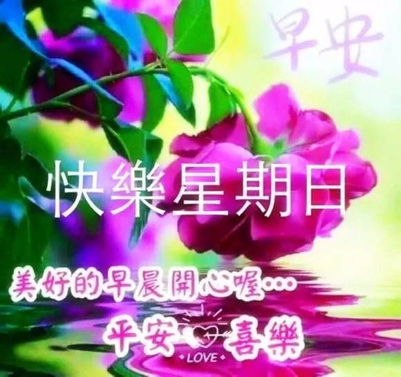 9月6日早上好日常祝福语大全 早晨好日常问候语录新版 腾讯新闻