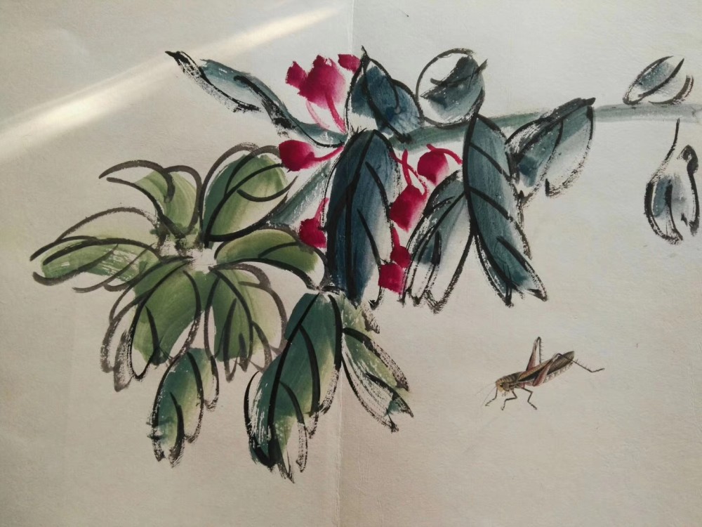 齐白石工虫技法嫡系真传弟子 当今齐派工笔草虫第一人 汤发周画展开幕 腾讯新闻