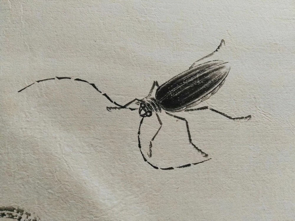 齐白石工虫技法嫡系真传弟子 当今齐派工笔草虫第一人 汤发周画展开幕 腾讯新闻