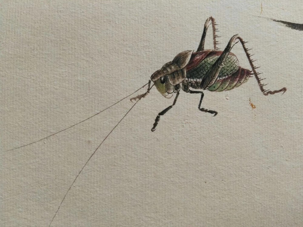 齐白石工虫技法嫡系真传弟子 当今齐派工笔草虫第一人 汤发周画展开幕 腾讯新闻