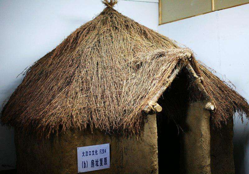 考古|大汶口遗址被发现，发现遗骨上面有个箭头，解密了几千年前的谜团