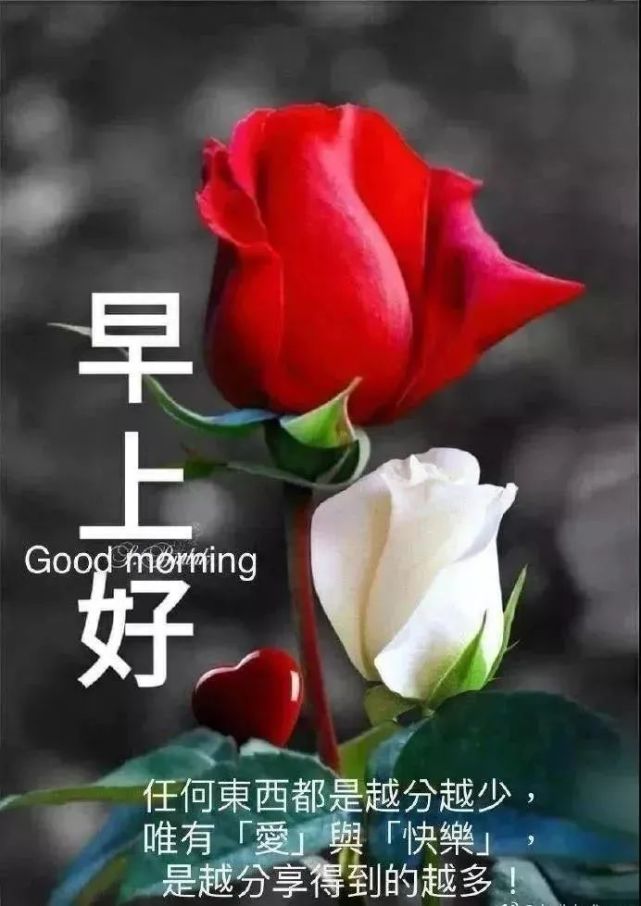 分享朋友圈最新版清晨早安祝福动态表情图片,早上好问候语动态表情图