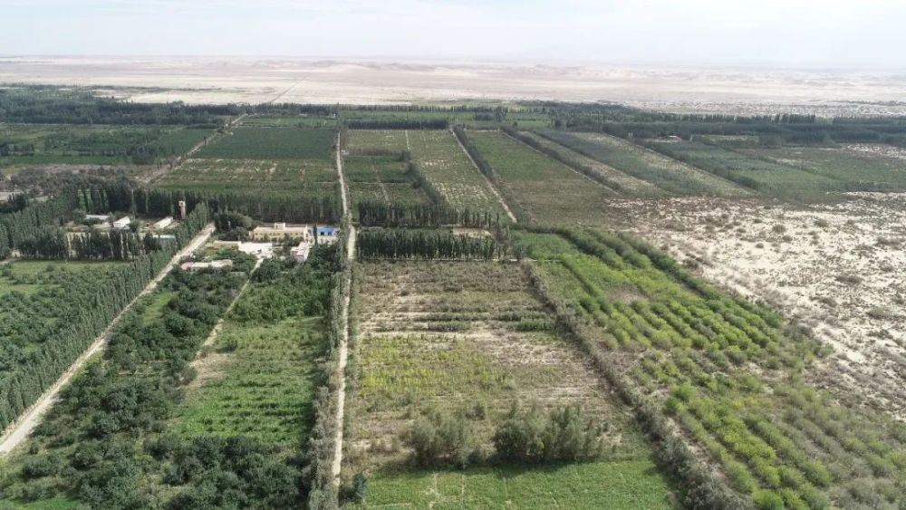 策勒县|中国科学院策勒沙漠研究站