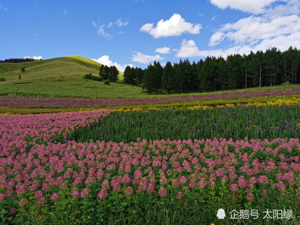 出句|云山远望心怀扩