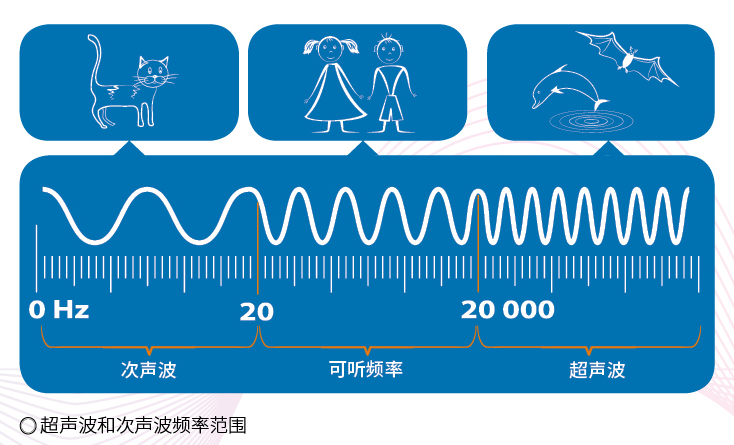 超声波|嘘，除了留声机里的痕迹，声音还有其他秘密……