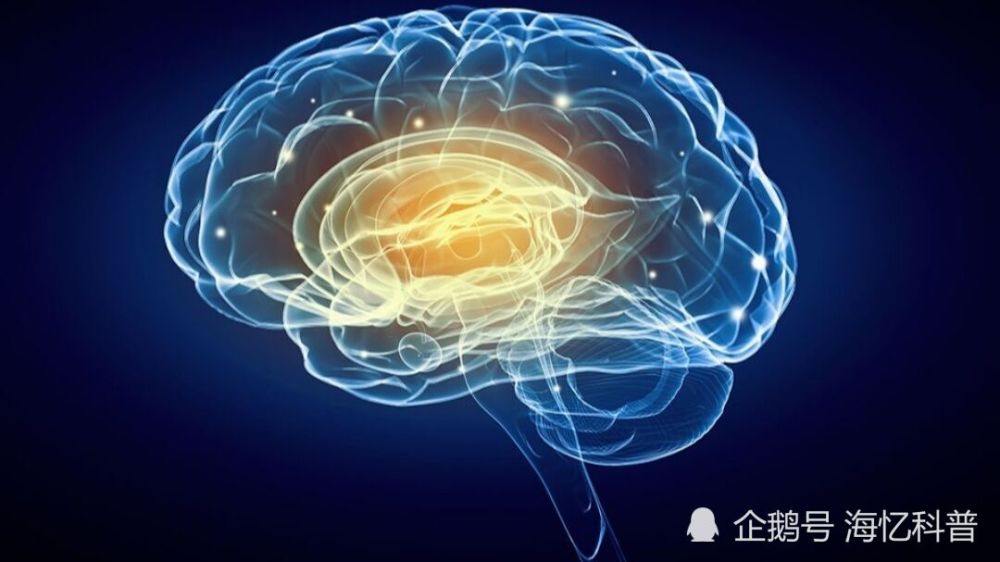 大脑|麻醉剂起作用时，从科学角度讲：你的大脑处于短暂死亡状态！
