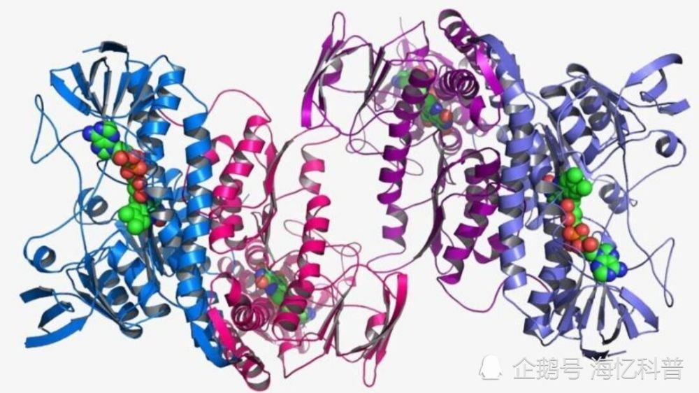 大脑|麻醉剂起作用时，从科学角度讲：你的大脑处于短暂死亡状态！