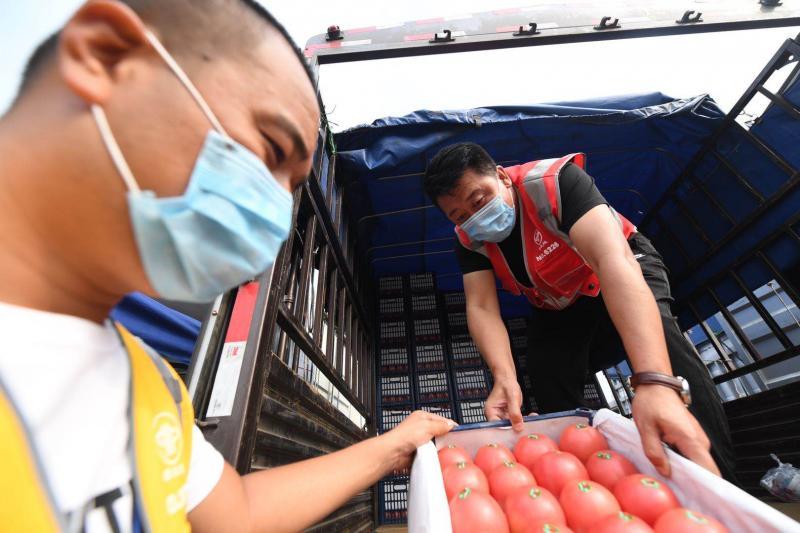 新发地|新发地市场西红柿大王：“行商”变为了“座商”
