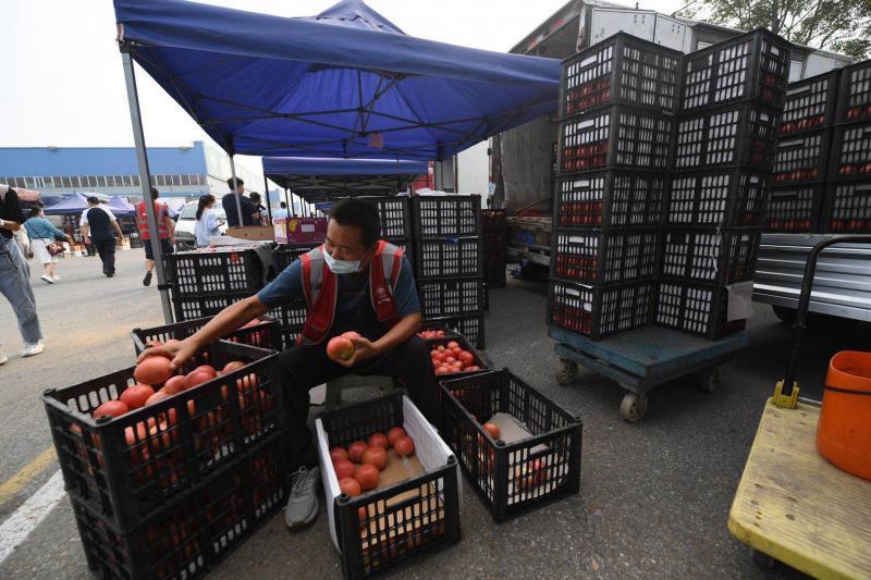 新发地|新发地市场西红柿大王：“行商”变为了“座商”