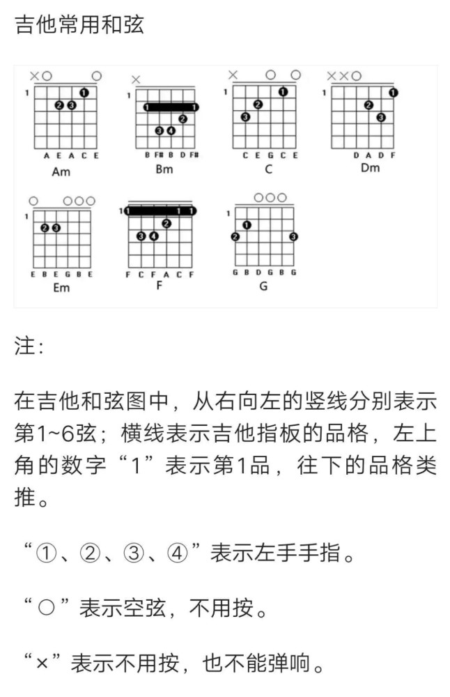 新手入门手把手教你自学吉他简单易懂看完就会