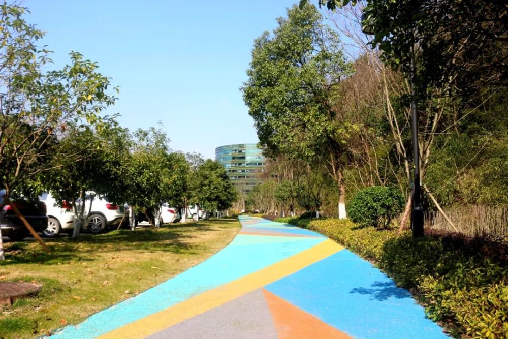 西湖区的特色游步道随时可看.