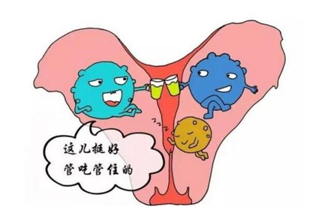 子宮肌瘤是怎樣形成的它愛纏住哪幾類人一定要知道