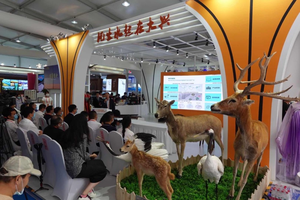 合金弹头|出品《拳皇》《合金弹头》等游戏的日本公司，来大兴合作了