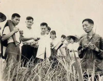 袁隆平|90岁袁隆平：你们吃饱了，我也变老了