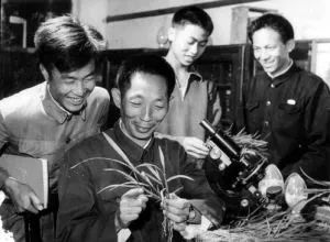 袁隆平|90岁袁隆平：你们吃饱了，我也变老了