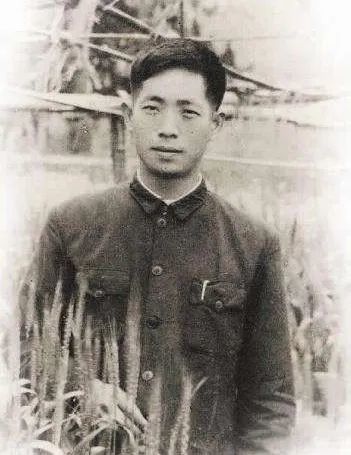 袁隆平|90岁袁隆平：你们吃饱了，我也变老了