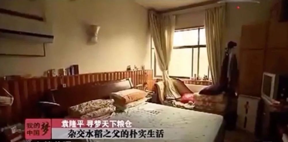 袁隆平|90岁袁隆平：你们吃饱了，我也变老了
