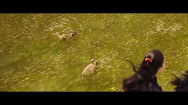 花木兰|《花木兰》评分暴跌不冤？对联出错，“双兔”理解被嘲太肤浅