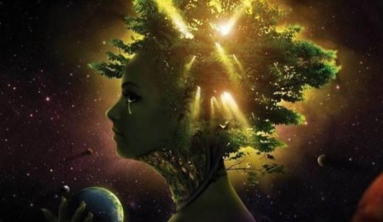 意识|意识是如何产生的？美国科学家的研究接近尾声：它或有形或无形