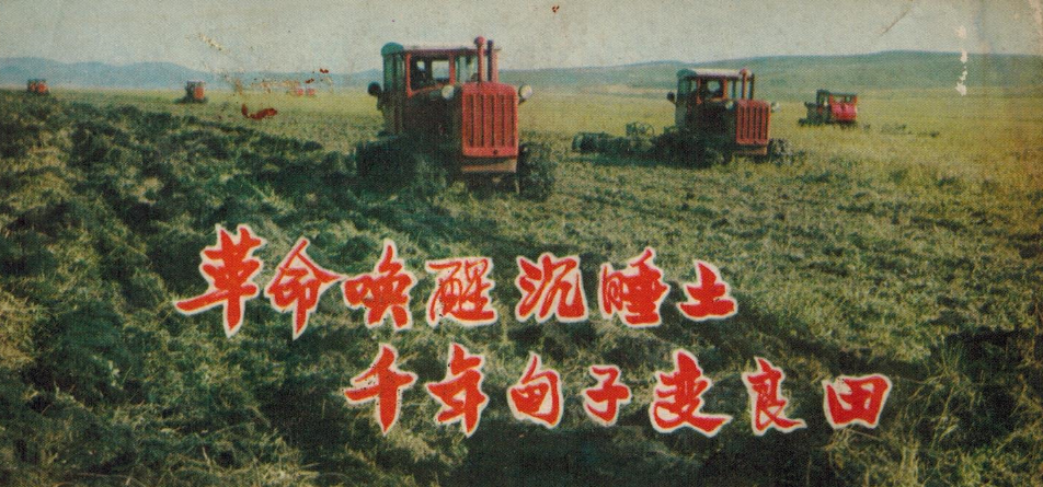 北大荒|老照片 千年甸子地变良田 北大荒变成了北大仓