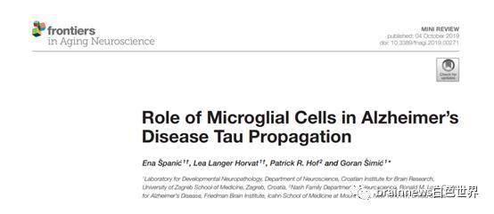 小胶质细胞|最新综述：小胶质细胞如何影响Tau病理？