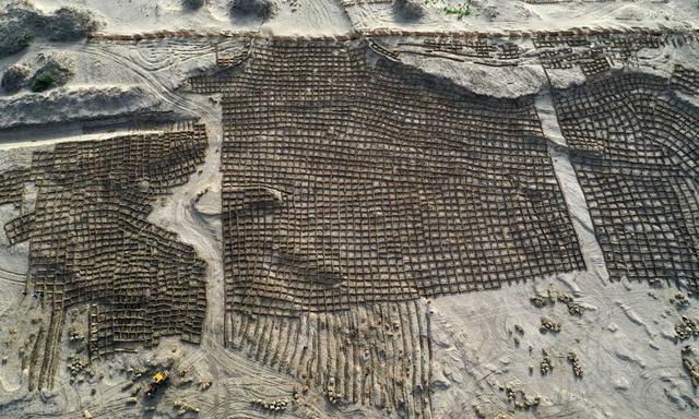 农民|英国《自然》：中国沙漠种树影响生态，中国农民：俺不是种树，是种“庄稼”