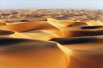 农民|英国《自然》：中国沙漠种树影响生态，中国农民：俺不是种树，是种“庄稼”