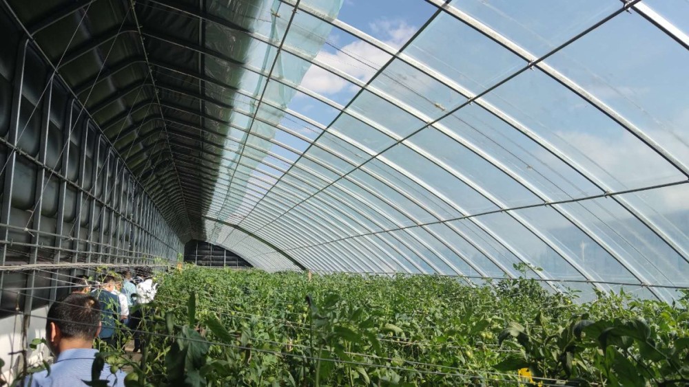 大棚|北京智慧大棚助高原高寒区农户脱贫，果蔬浇灌手机轻松搞定