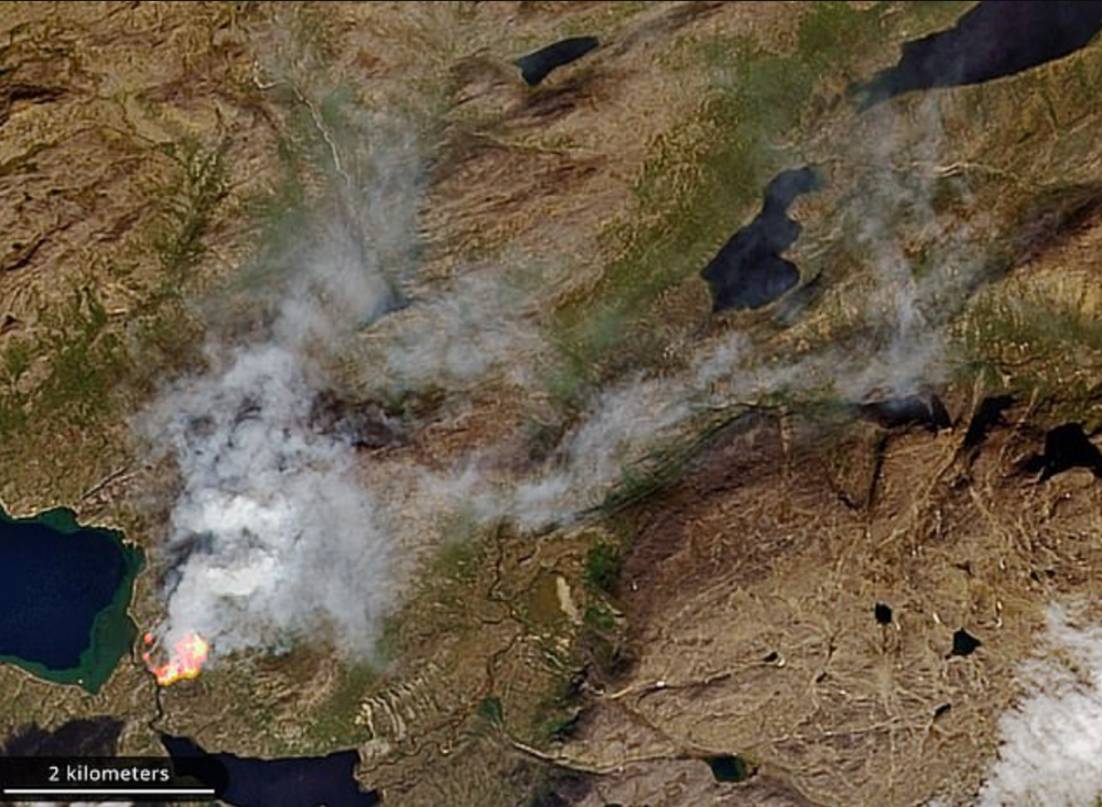 二氧化碳|38度高温！8个月244兆吨二氧化碳，北极正在打开“潘多拉魔盒”？