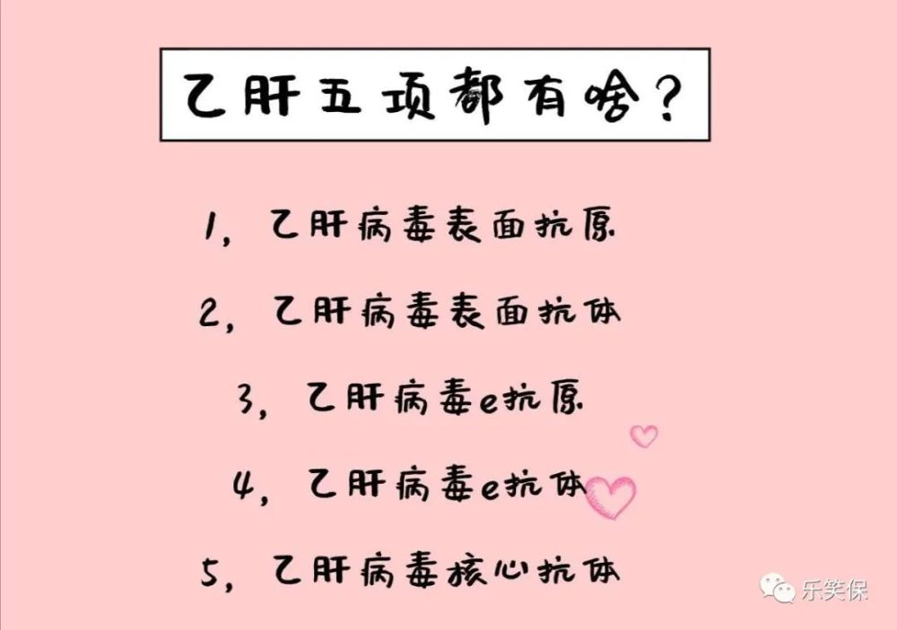 我国是乙肝大国,乙肝病毒携带者大约1.3亿,每10个人中就有1人携带