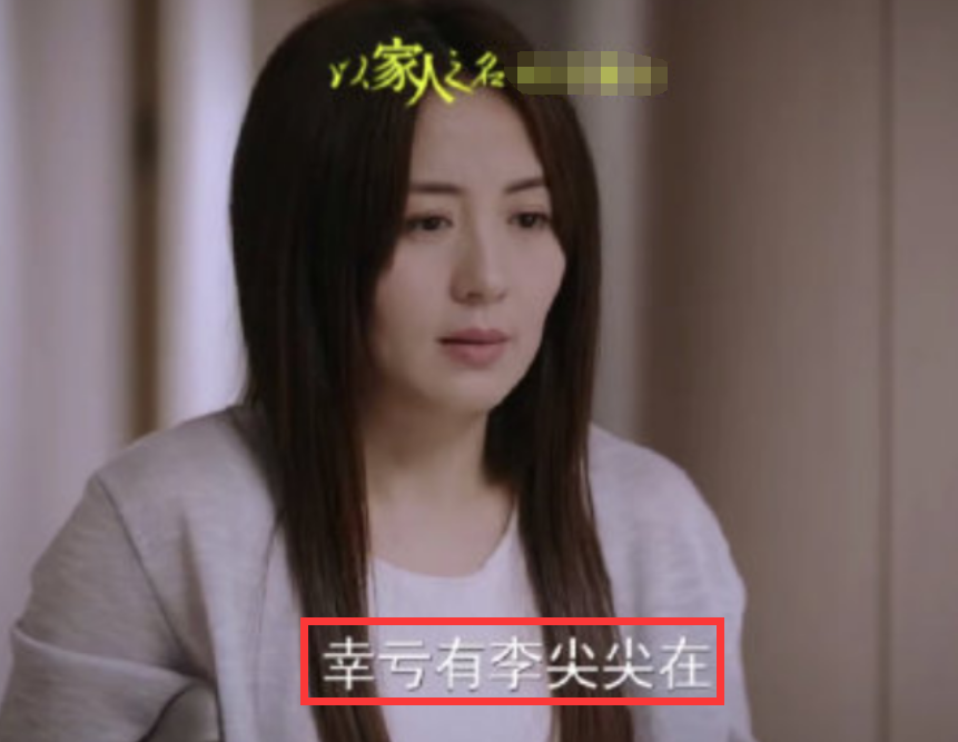 以家人|《以家人》大结局：贺子秋与赵华光两清，陈婷感谢李尖尖，凌霄厉害了