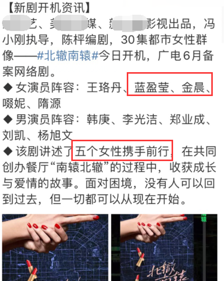 蓝盈莹|蓝盈莹初赛第一被淘汰后，与金晨闷声发大财，后援会换赛道太机智