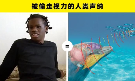 现实中的 超能力者 声称自己拥有超能力的5个著名的人类 腾讯新闻