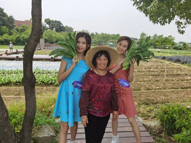 在南海里水,幸福的方式有多少种?听珠珠为你解答!