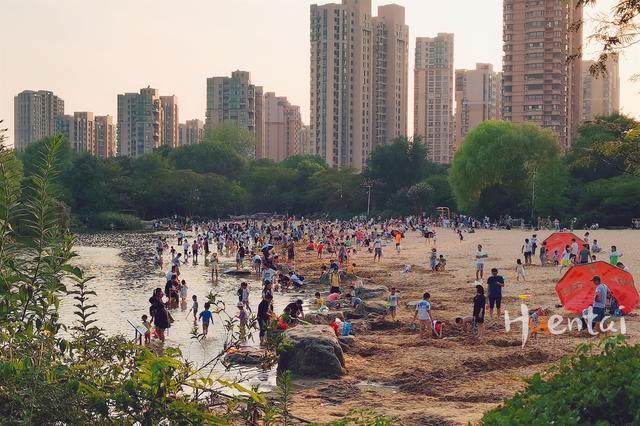 只因这个小景点|青枫公园|常州|公园|红梅公园|沙滩