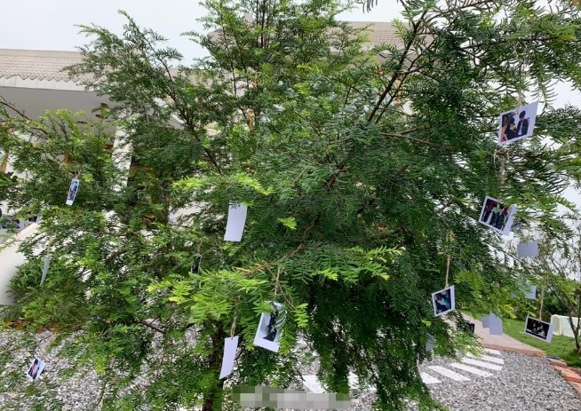 王一博|CP粉简直太搞笑了，居然给肖战和王一博举办婚礼，但现场相当诡异