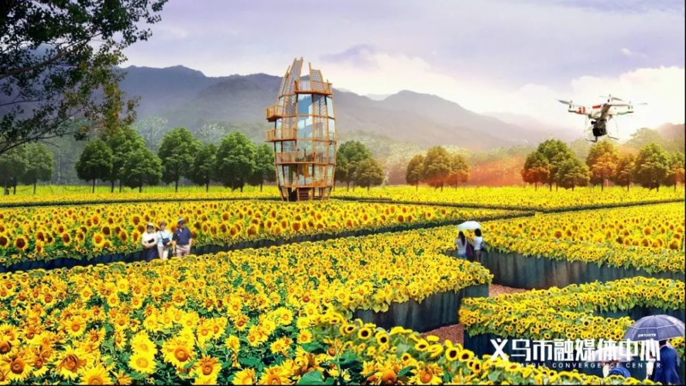 向日葵花田稻田迷宫农机总动员一起到义乌这里共享多彩生活