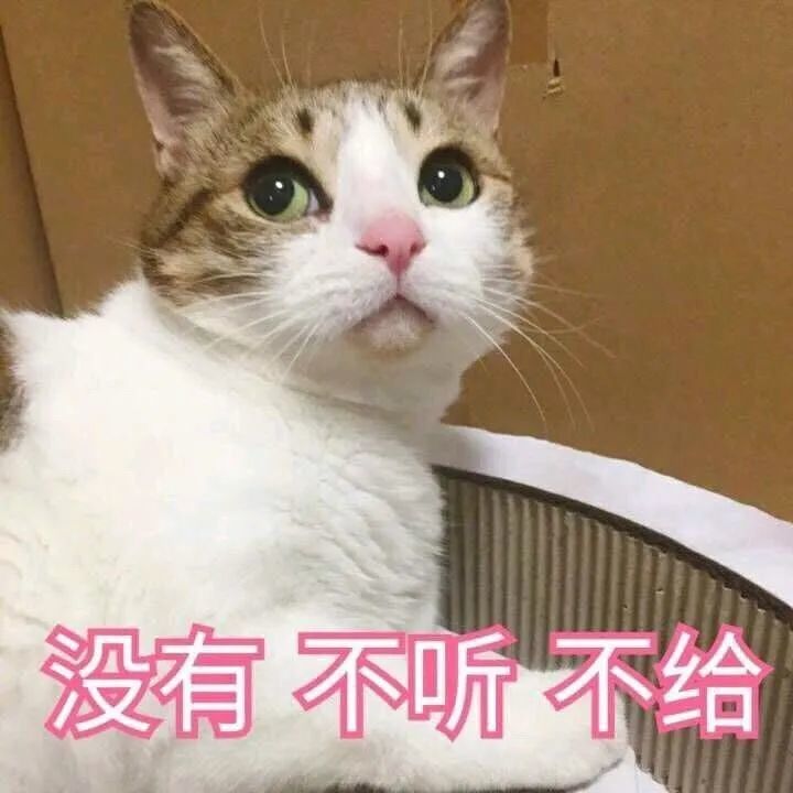 萌萌噠的小動物可愛表情包