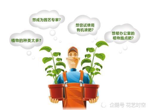 施肥|10年养花大神，教你如何给花儿施肥