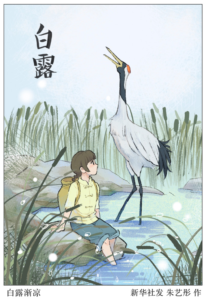 二十四节气白露白露渐凉