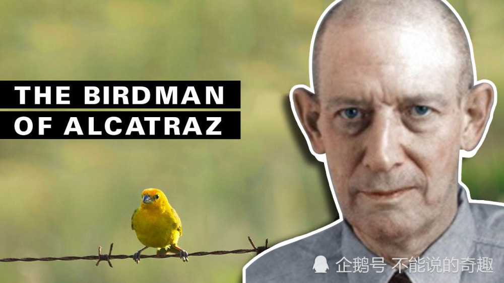 他就是,罗伯特·斯特劳德,被称为"恶魔鸟人".