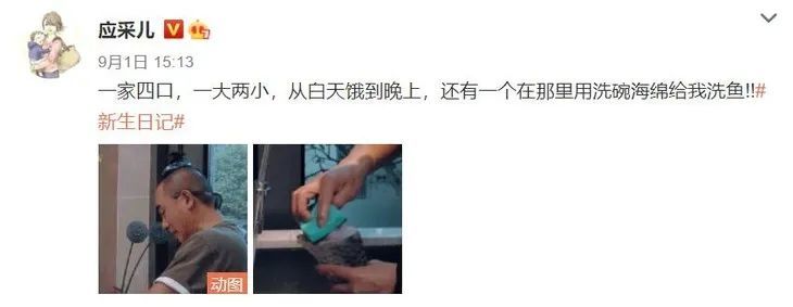 陈小春|家庭煮夫陈小春的“第四次翻红”，是被应采儿逼出来的
