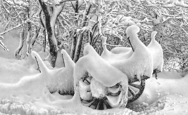 雪景|75岁老人专注画雪景：一支铅笔骗过所有人，画雪62年终成大师