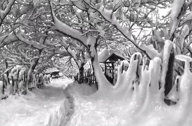 雪景|75岁老人专注画雪景：一支铅笔骗过所有人，画雪62年终成大师